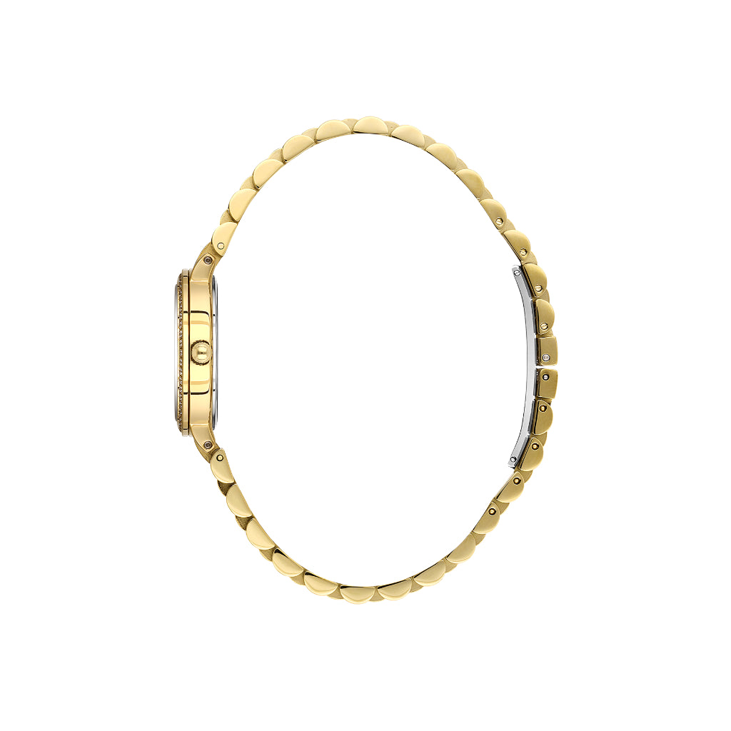 Bigotti Quotidiana Gold Stainless Steel Watch for Women BG.1.10652-3