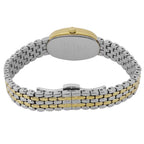 Daniel Klein Premium Silver and Gold Stainless Steel Watch for Women DK.1.14130-4