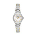 Daniel Klein Premium Silver and Gold Stainless Steel Watch for Women DK.1.14161-4