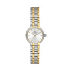 Daniel Klein Premium Silver and Gold Stainless Steel Watch for Women DK.1.14163-4