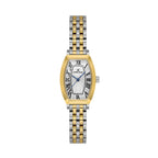 Daniel Klein Premium Silver and Gold Stainless Steel Watch for Women DK.1.14165-4