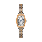 Daniel Klein Premium Silver and Rose Gold Stainless Steel Watch for Women DK.1.14165-6