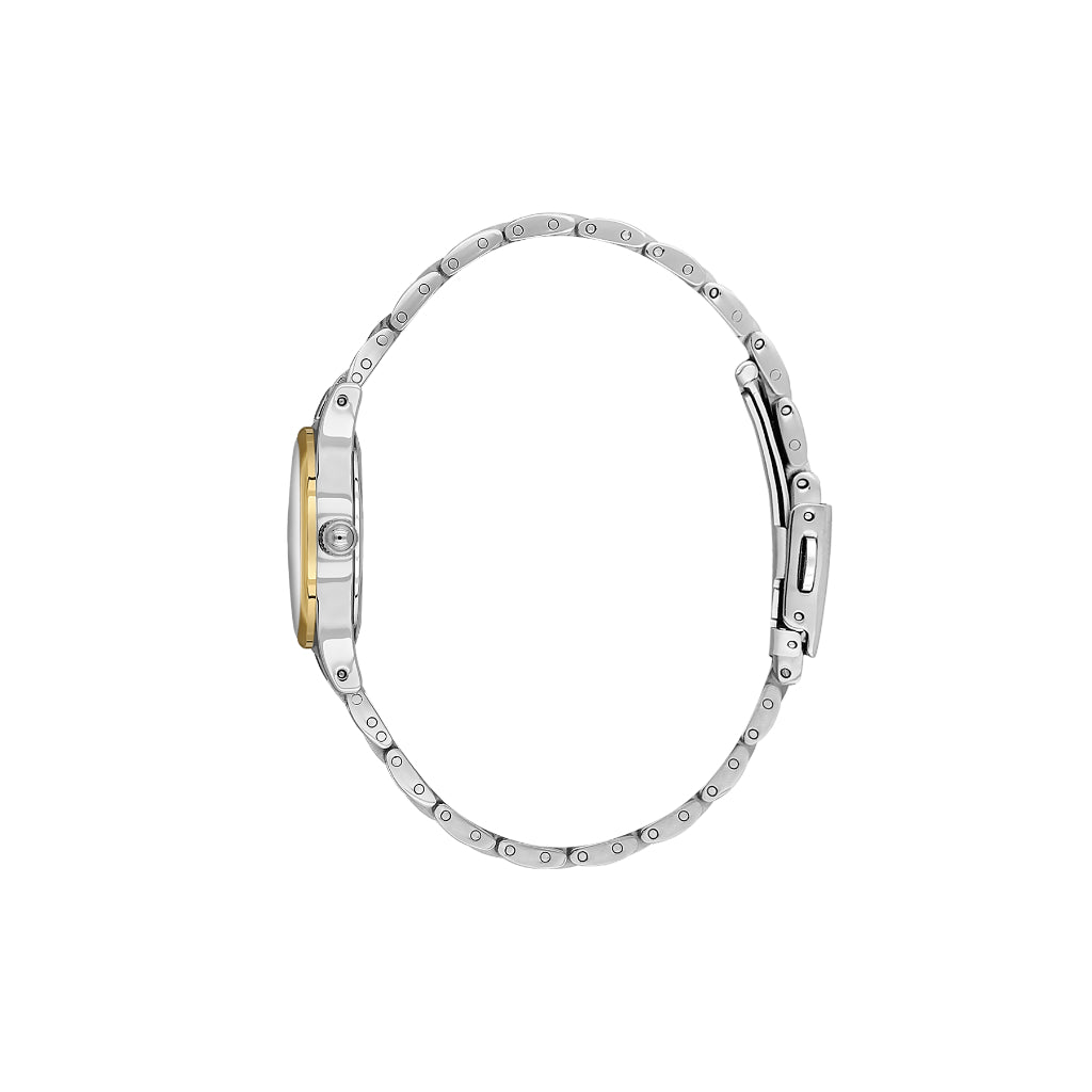 Daniel Klein Premium Silver and Gold Stainless Steel Watch for Women DK.1.14174-3