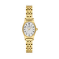Daniel Klein Premium Gold Stainless Steel Watch for Women DK.1.14174-6