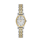 Daniel Klein Premium Silver and Gold Stainless Steel Watch for Women DK.1.14174-7