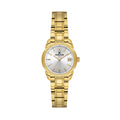 Daniel Klein Premium Gold Stainless Steel Watch for Women DK.1.14187-3