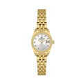 Daniel Klein Premium Gold Stainless Steel Watch for Women DK.1.14276-5