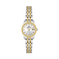 Daniel Klein Premium Silver and Gold Stainless Steel Watch for Women DK.1.14276-6