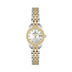Daniel Klein Premium Silver and Gold Stainless Steel Watch for Women DK.1.14276-6
