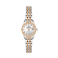 Daniel Klein Premium Silver and Rose Gold Stainless Steel Watch for Women DK.1.14276-8