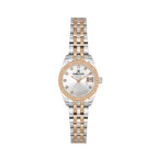 Daniel Klein Premium Silver and Rose Gold Stainless Steel Watch for Women DK.1.14276-8