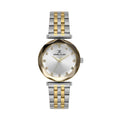 Daniel Klein Premium Silver and Gold Stainless Steel Watch for Women DK.6.14189-4