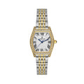 Daniel Klein Premium Silver and Gold Stainless Steel Watch for Women DK.1.14106-3