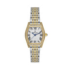 Daniel Klein Premium Silver and Gold Stainless Steel Watch for Women DK.1.14106-3