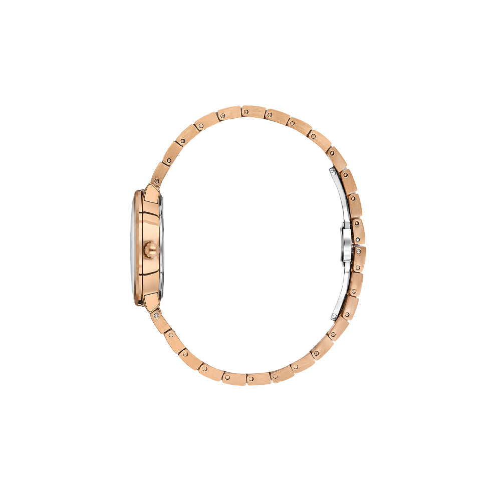 Daniel Klein Premium Silver and Rose Gold Stainless Steel Watch for Women DK.1.14110-5