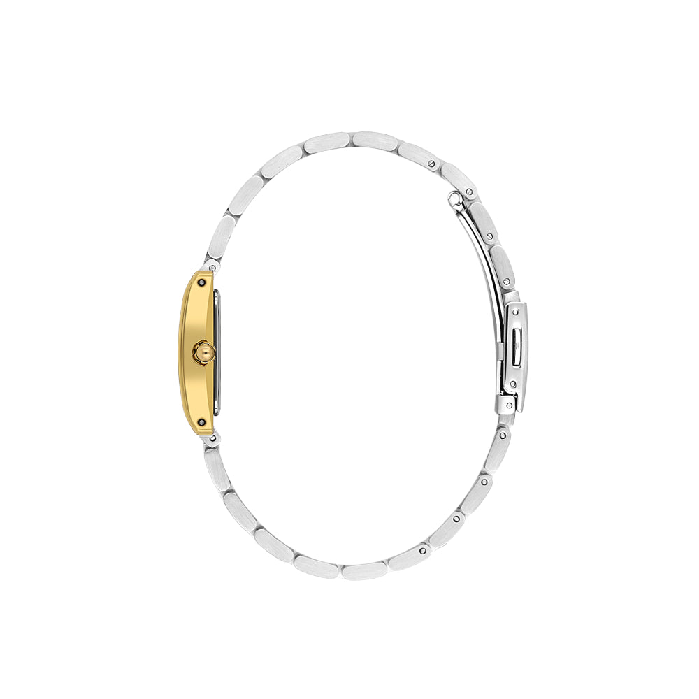 Daniel Klein Premium Silver and Gold Stainless Steel Watch for Women DK.1.14111-4