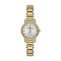 Daniel Klein Premium Silver and Gold Stainless Steel Watch for Women DK.1.14118-4
