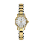 Daniel Klein Premium Silver and Gold Stainless Steel Watch for Women DK.1.14118-4