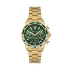 Freelook Gold Stainless Steel Watch for Women FL.1.10432-2