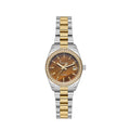 Freelook Silver and Gold Stainless Steel Watch for Women FL.1.10442-5