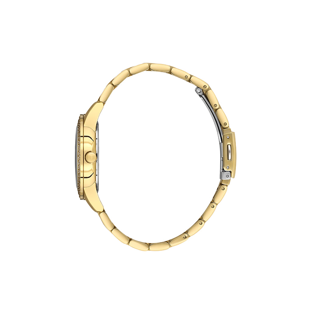 Freelook Charmant Gold Stainless Steel Watch for Women FL.1.10527-2