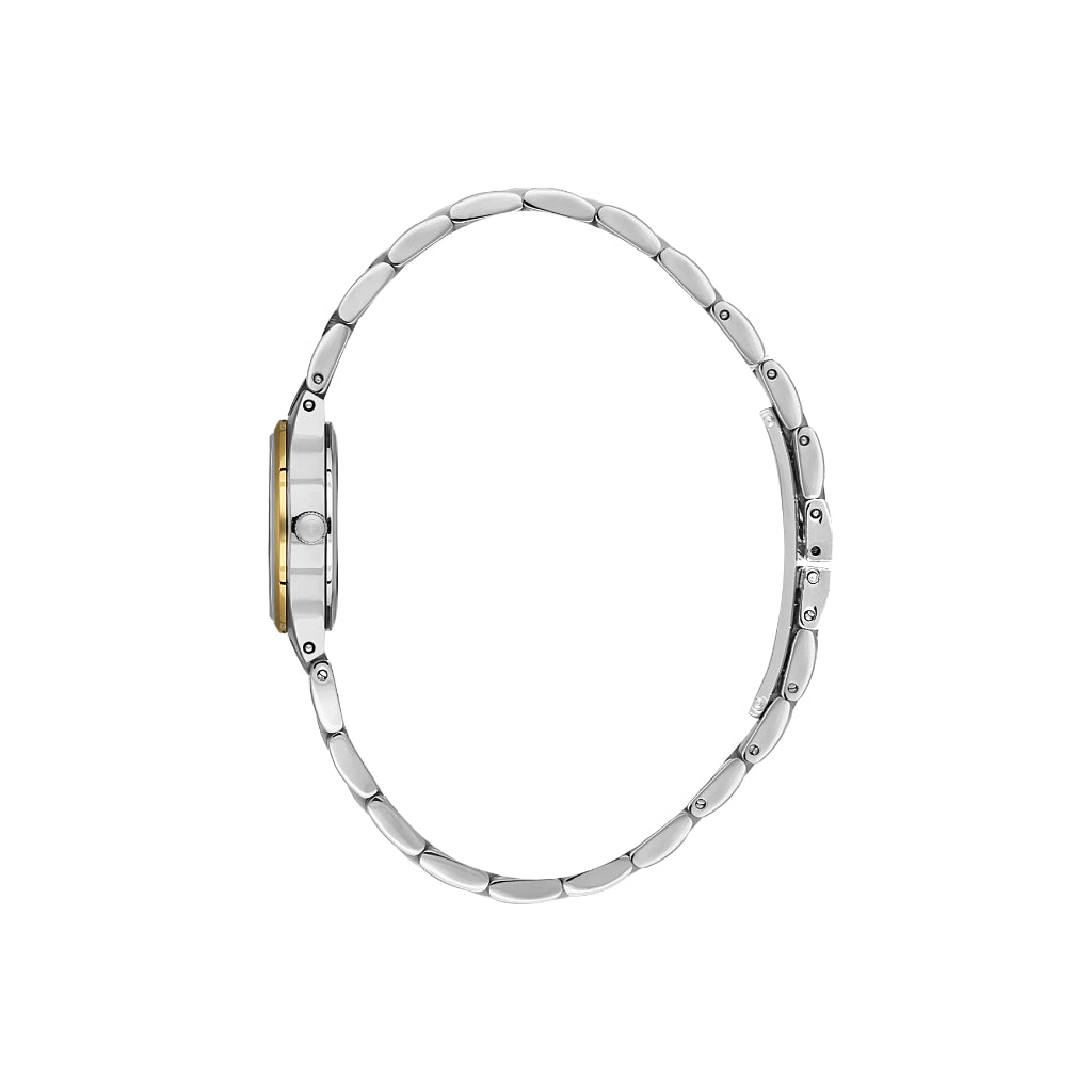 Freelook Naturelle Silver and Gold Stainless Steel Watch for Women FL.1.10540-5