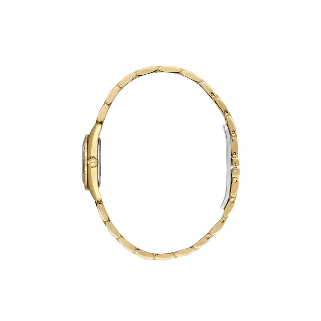 Freelook Naturelle Gold Stainless Steel Watch for Women FL.1.10544-2