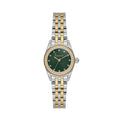Freelook Naturelle Silver and Gold Stainless Steel Watch for Women FL.1.10544-4