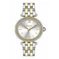 Freelook Lumiere Silver and Gold Stainless Steel Watch for Women FL.1.10545-4