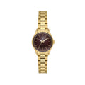 Santa Barbara Polo & Racquet Club Gold Stainless Steel Watch for Women SB.8.10012-4
